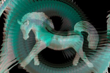 Crazy Horse ! © Anita Fleerackers Crazy Horse !