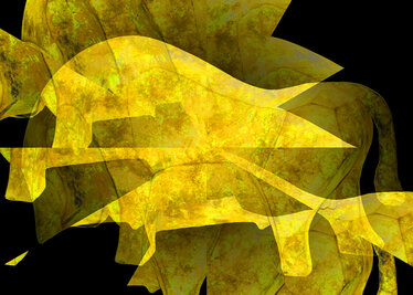 Bull Crazy Yellow !