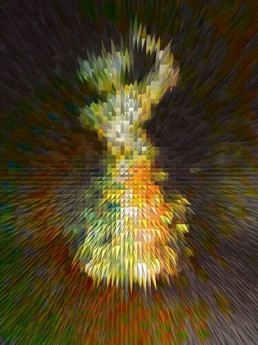 Flamenco Fun 1 Gold ! Flamenco Fun 1 Gold !