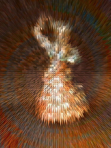 Flamenco Fun 2 Brown !