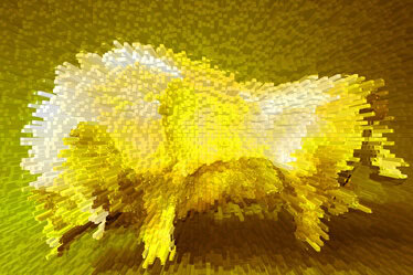 Toro Golden Devil ! Toro Golden Devil !