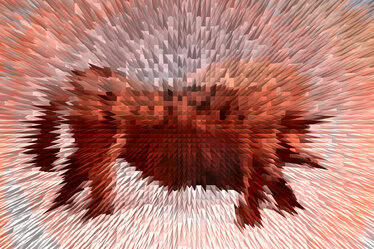 Toro Orage Feuer! © Anita Fleerackers Toro Orage Feuer!