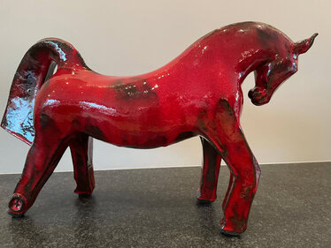 Pferd Joly ! © Anita Fleerackers Pferd Joly !