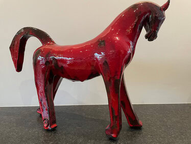 Pferd Perry ! © Anita Fleerackers Pferd Perry !