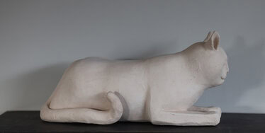 Billie1 ! © Anita Fleerackers Billie1 !