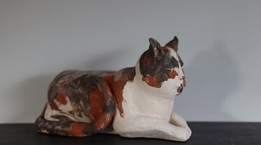 Coco1 ! © Anita Fleerackers Coco1 !