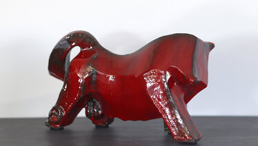 Toro Job ! © Anita Fleerackers Toro Job !