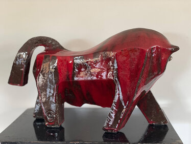 Toro padro ! © Anita Fleerackers