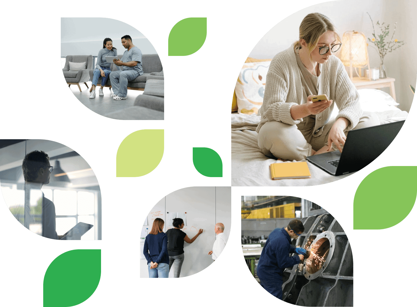 Client Case Study Hero Leaves