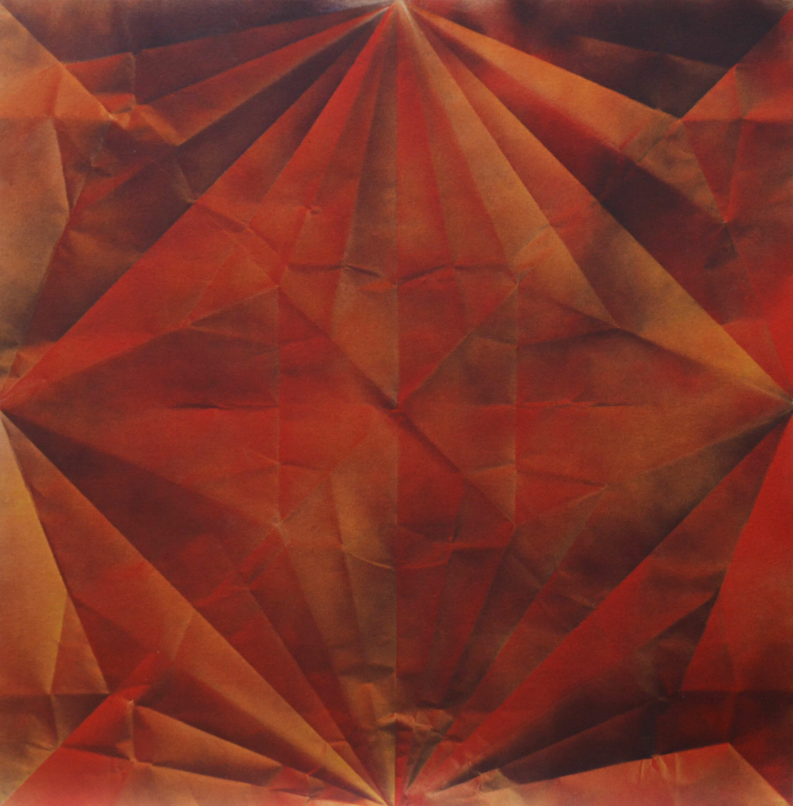 Crane fire, Marica Fasoli