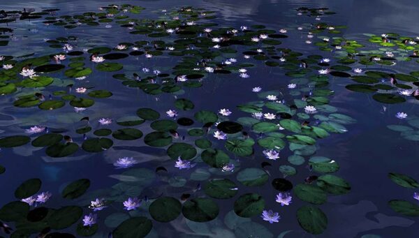 Night in Giverny, Bastiani Michelangelo