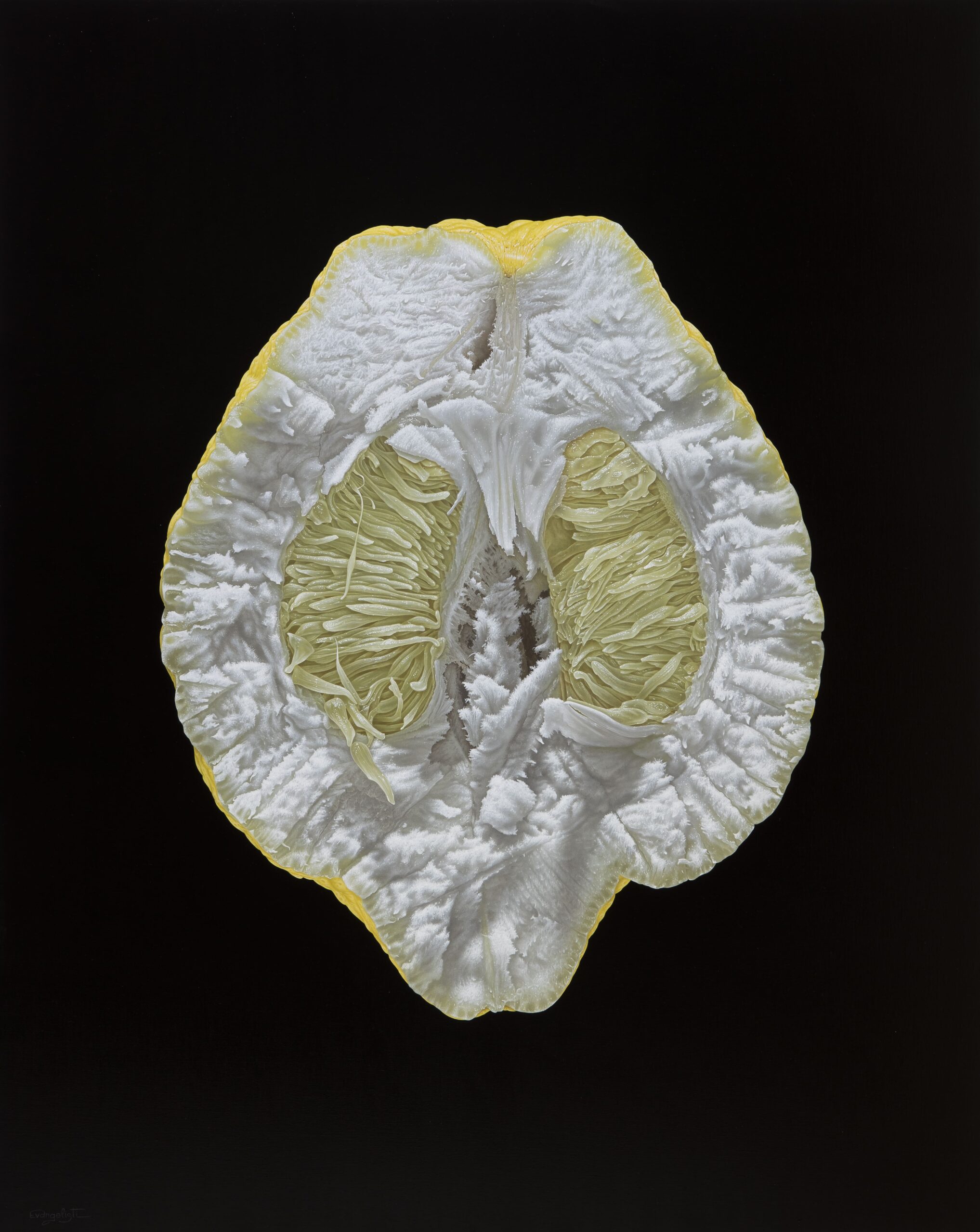 The other face of the moon, Riccardo Evangelisti