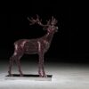 Deer, Kim in tae