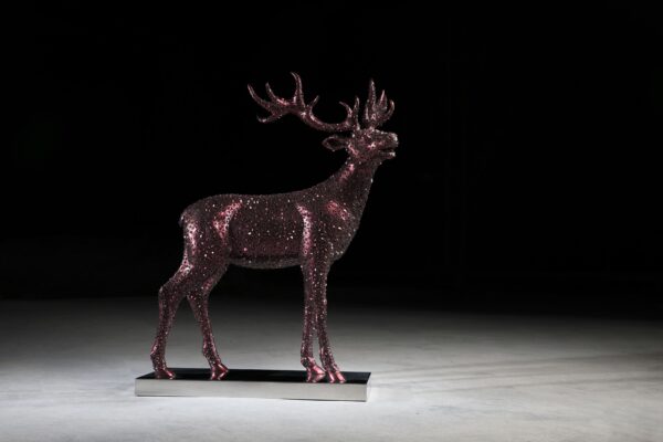 Deer, Kim in tae