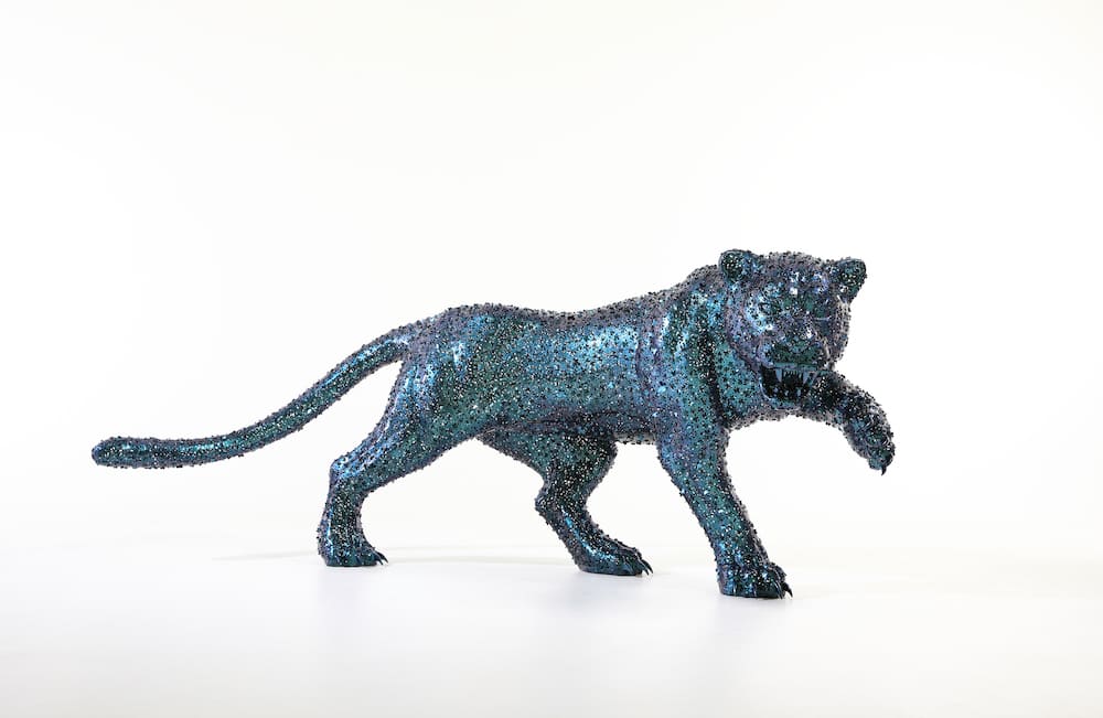Jaguar vers 3, Kim in tae