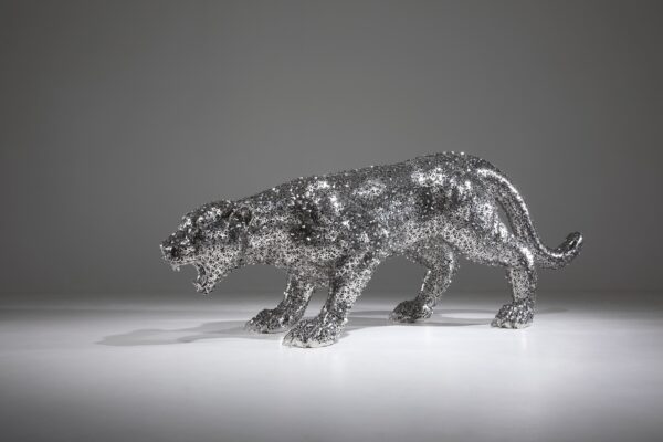 Jaguar vers 6, Kim in tae