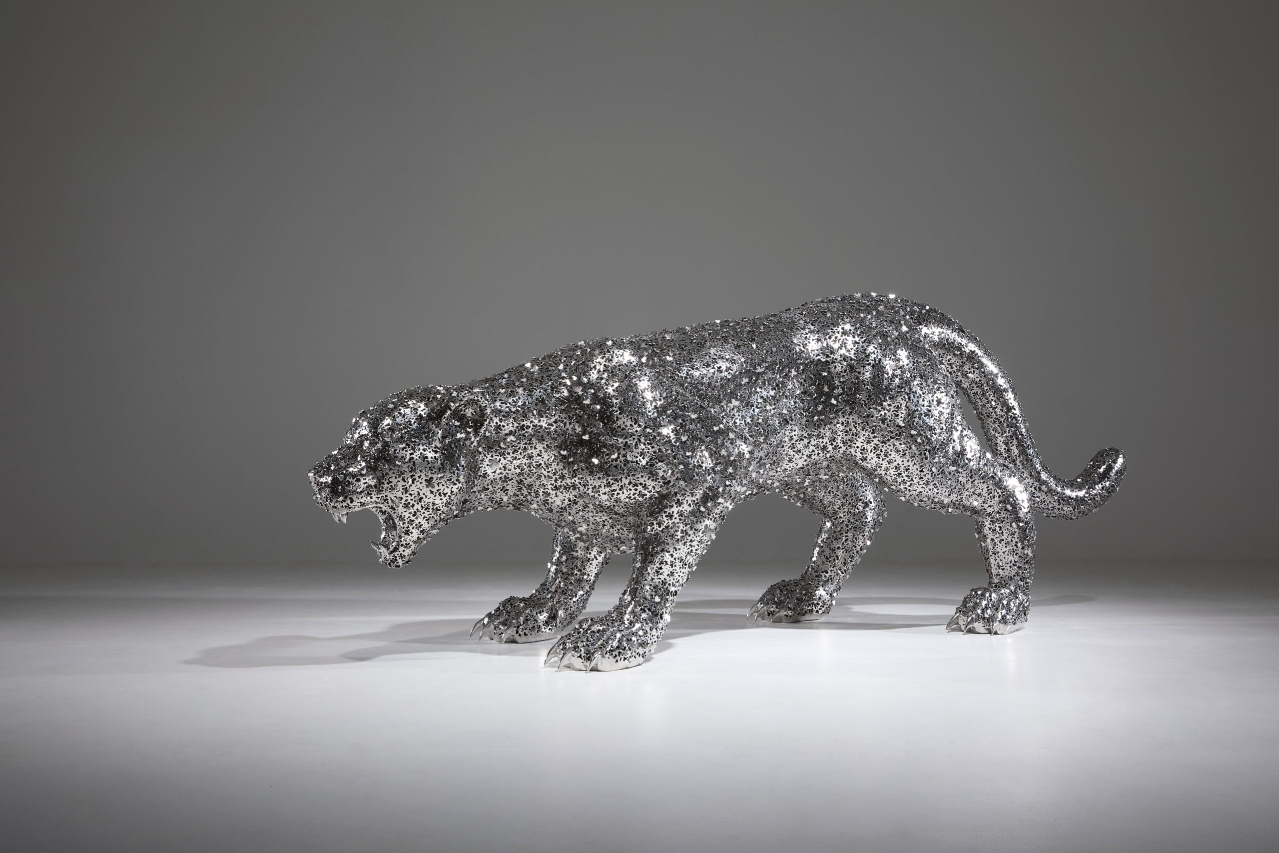 Jaguar vers 6, Kim in tae