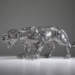 Jaguar vers6, Kim in tae
