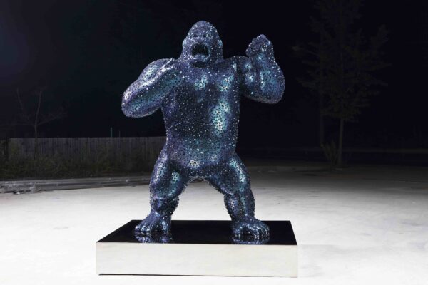 Gorilla vers. II, Kim in tae