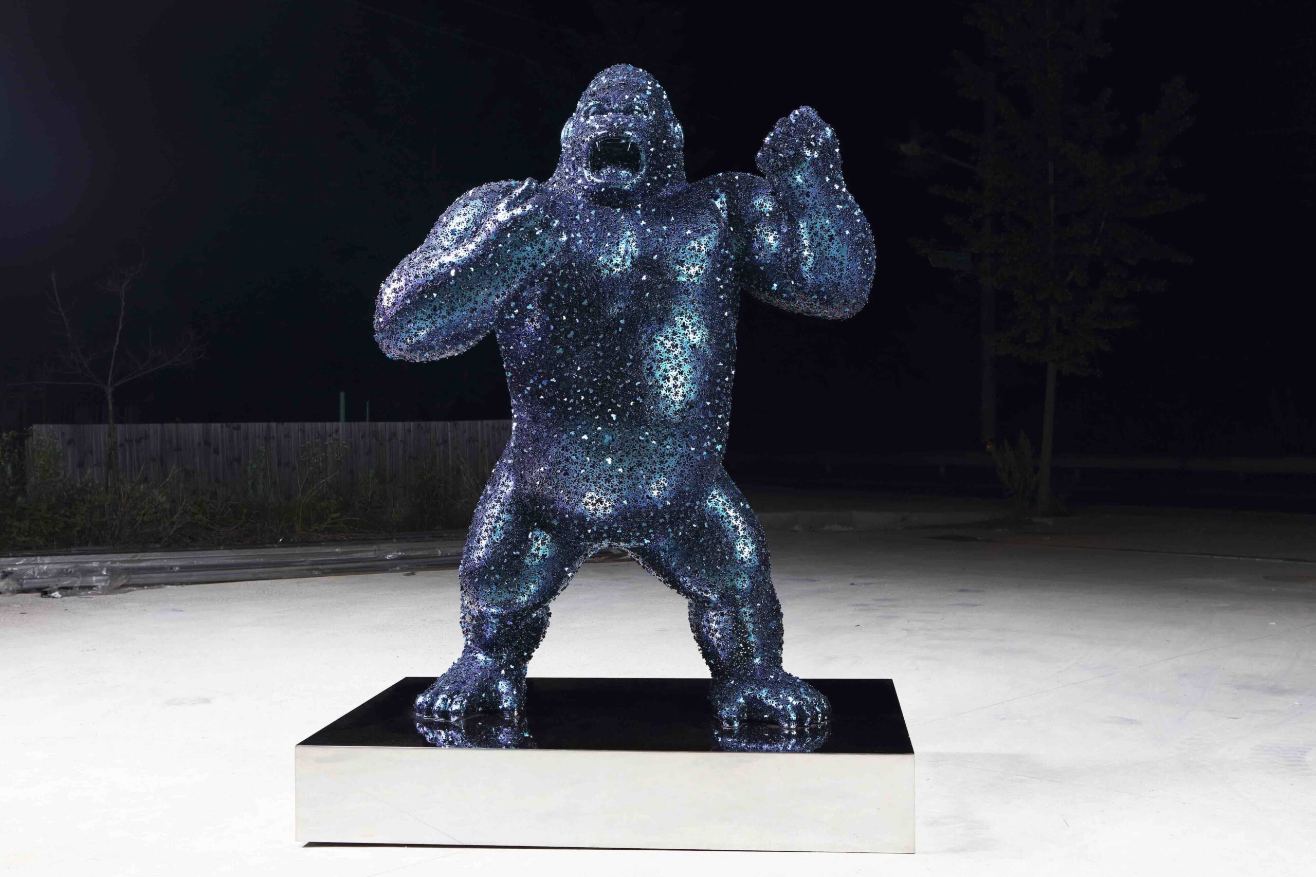 Gorilla vers. II, Kim in tae
