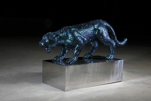 Jaguar vers II, Kim in tae