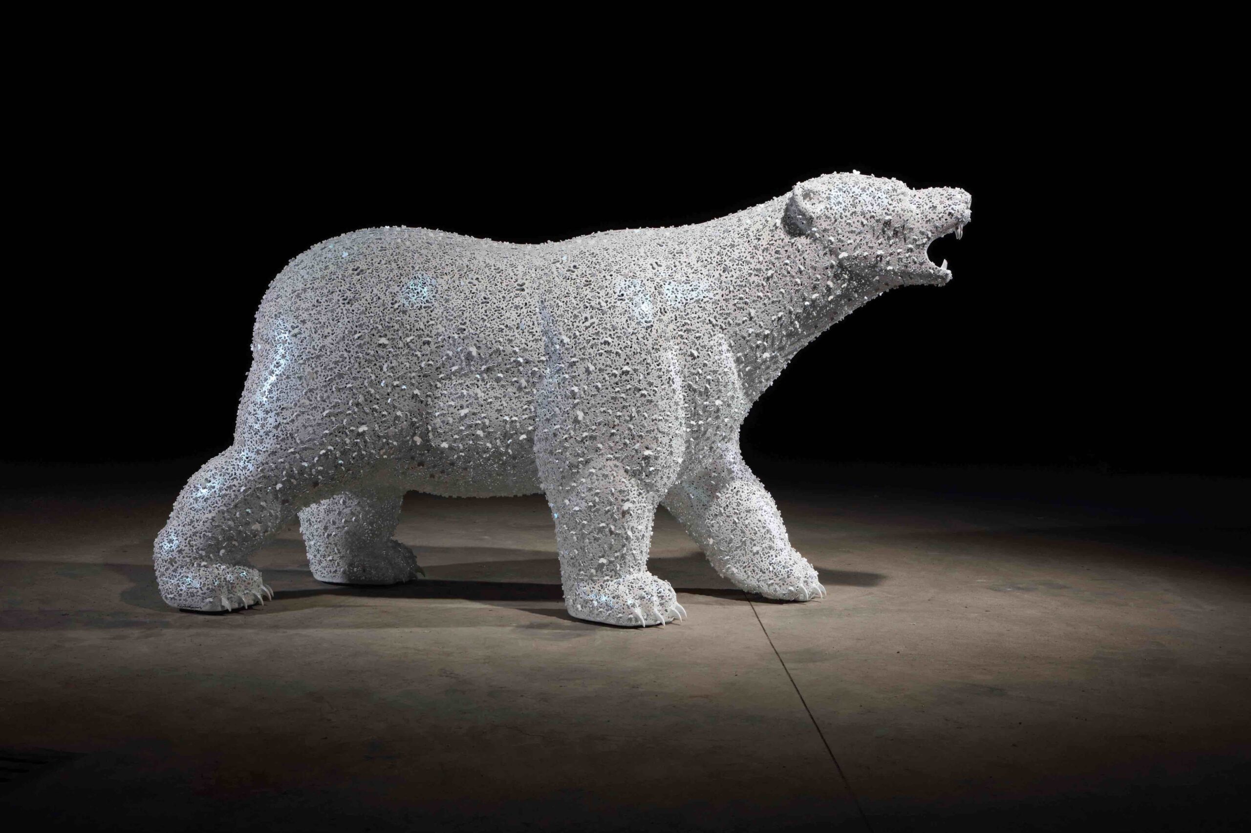 Polar bear, Kim in tae