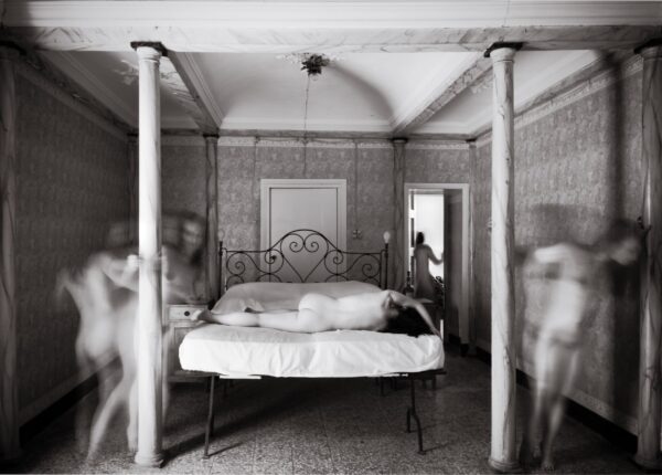 Habitat, Alessandra Lanzafame