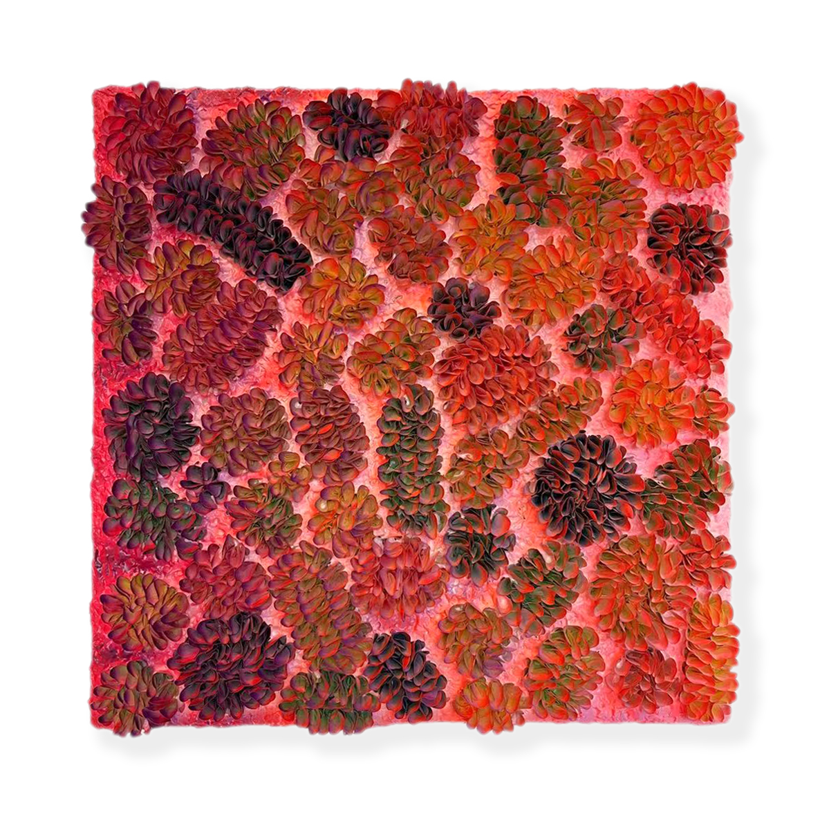 S19-D016, Zhuang Hong Yi