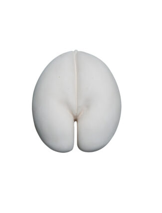 Coco de mer (bianco)
