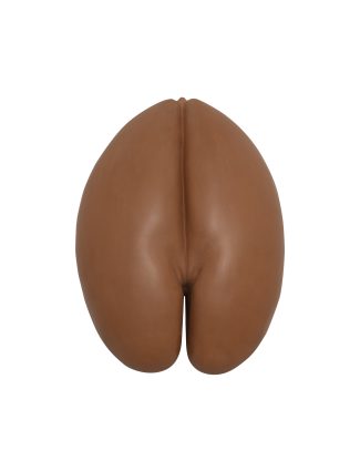 Coco de mer (naturale cotto)