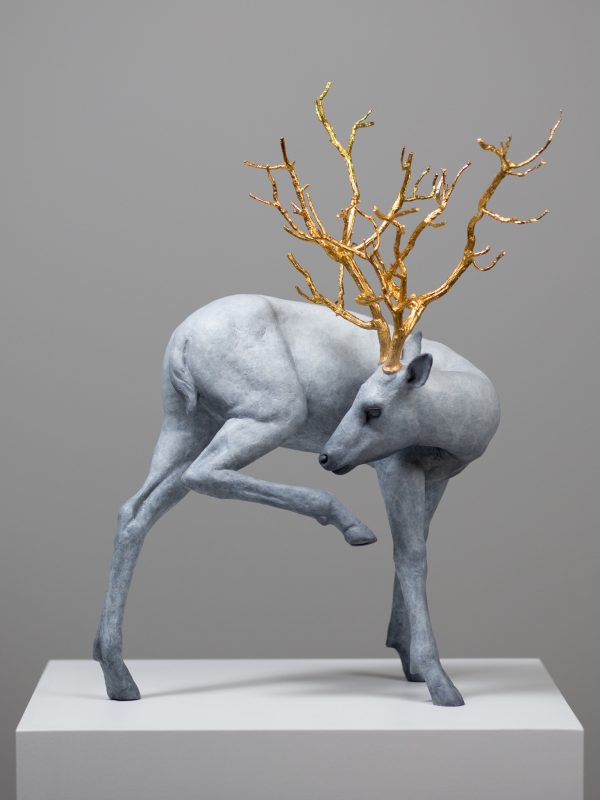 Forest Guardian-Coderch&Malavia