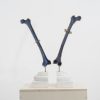 Lucarini_Reliquie blu 2