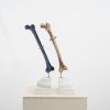 Lucarini_Reliquie blu
