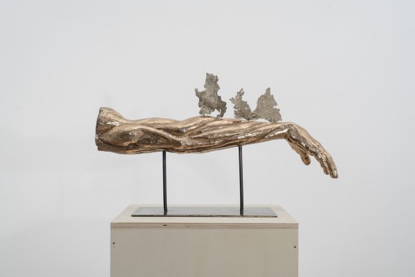 Lucarini_Ex-voto braccio