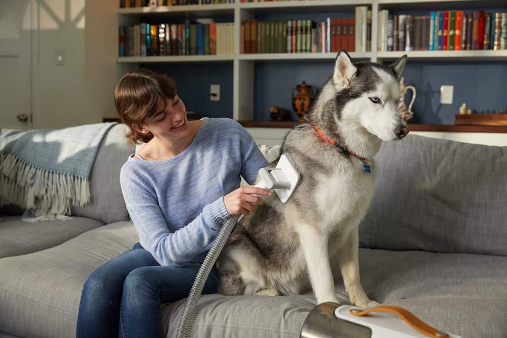 Video Production with Pets