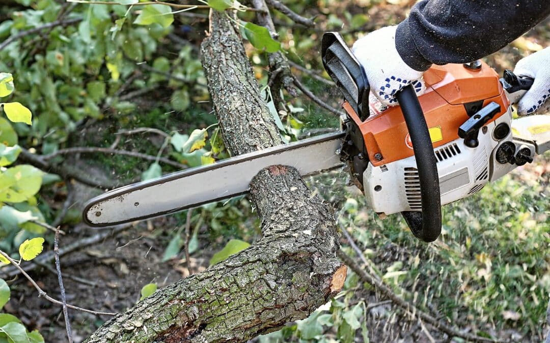 Slidell Tree Service
