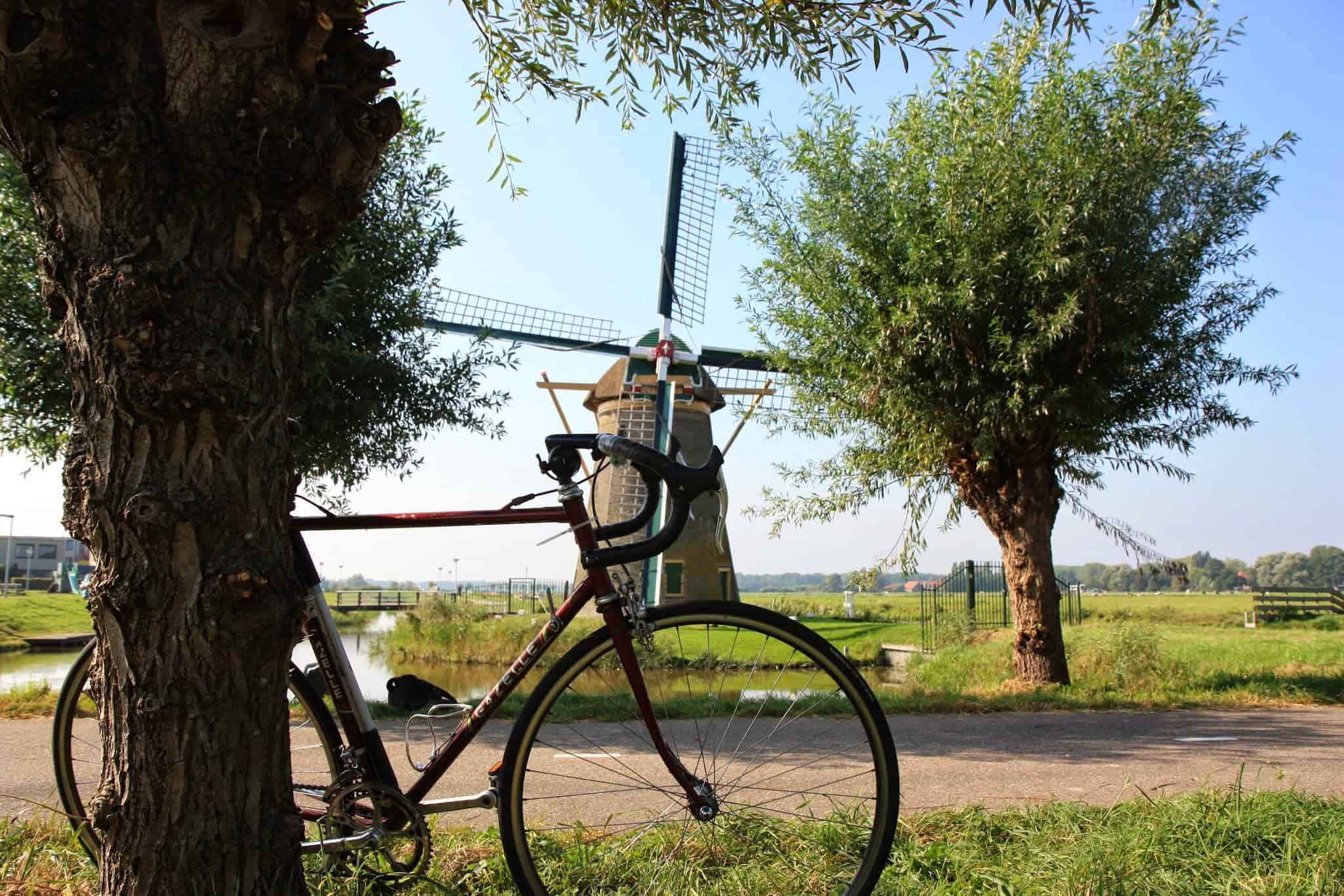 Gazelle bij molen