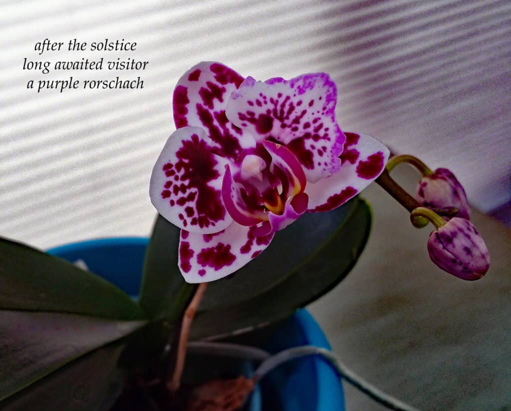 AfterTheSolsticeCairn