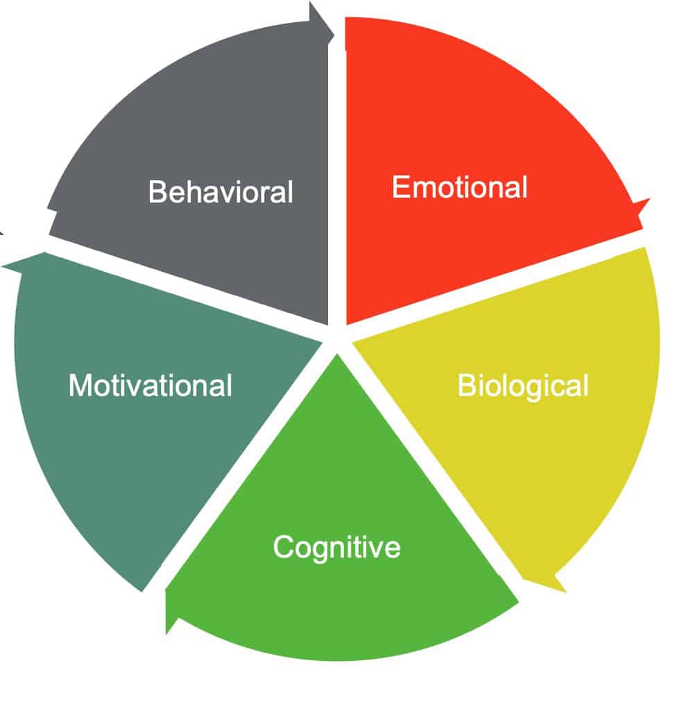 Navigating the Chaos: Managing Challenges in Kids Soft Play Zones - Conclusion