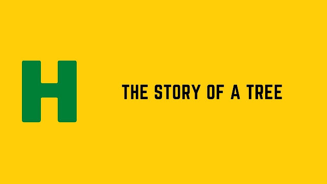 HackerRank The Story of a Tree problem solution