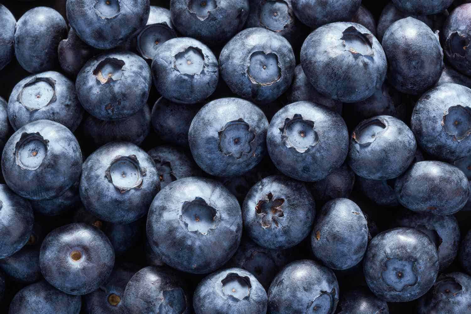 Non-sprayed Blueberries