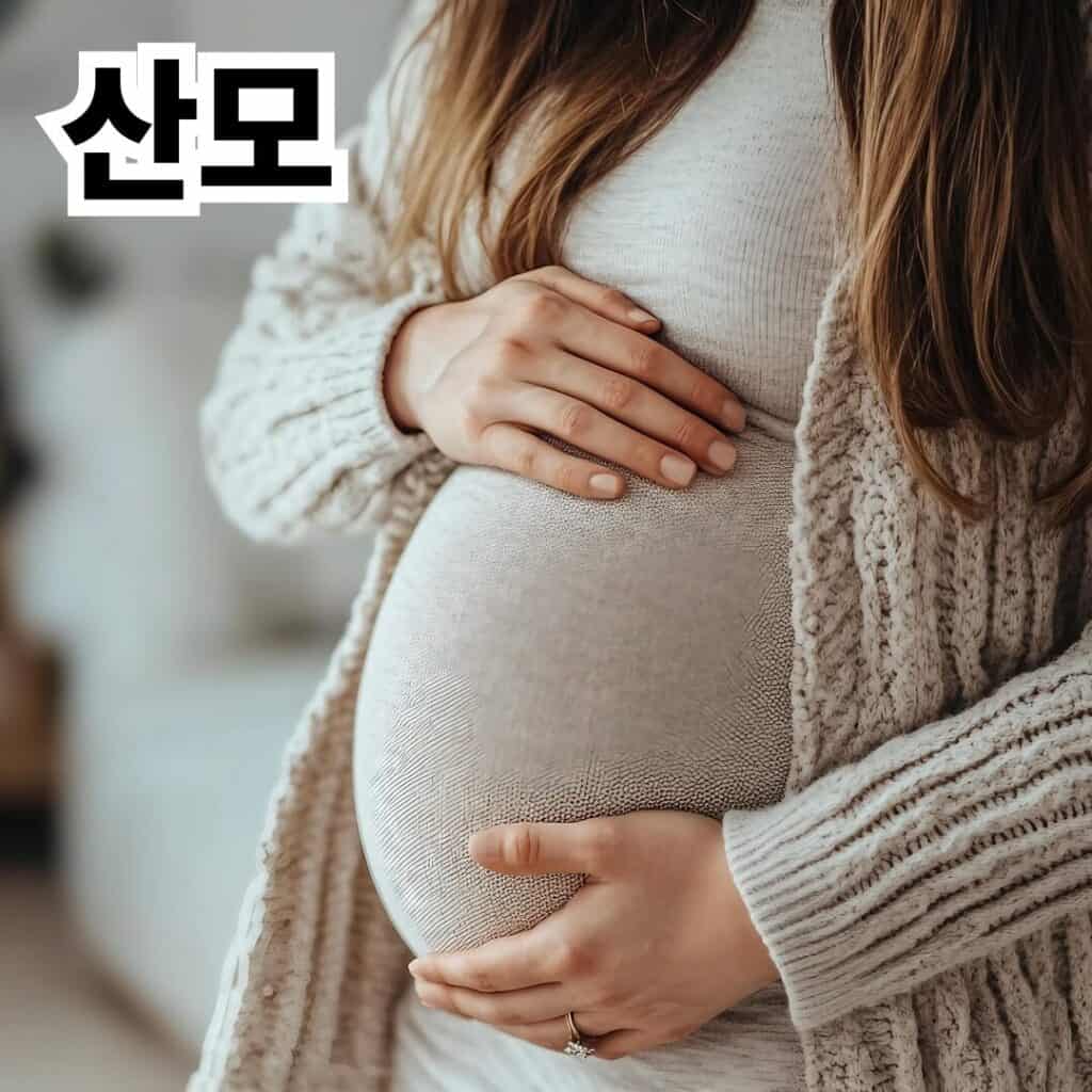 💰 2025년 정부지원금 총정리: 지금 받을 수 있는 혜택은? 4 004 12