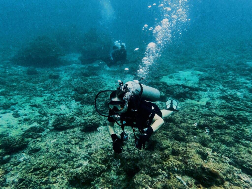 Chung Diving