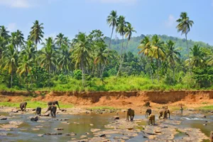 Pics credit: Big 7 Travel
