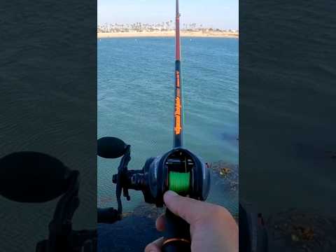 największy bonus reload obraz