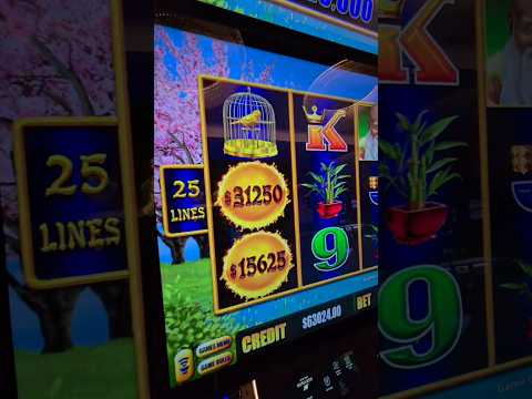 ultime bonus hebdomadaire de Vegas Hero Casino