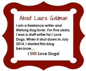 about Laura Goldman