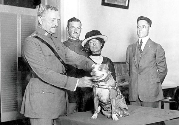 sergeant stubby awarded medals