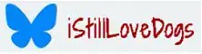 Follow @iStillLoveDogs on BlueSky