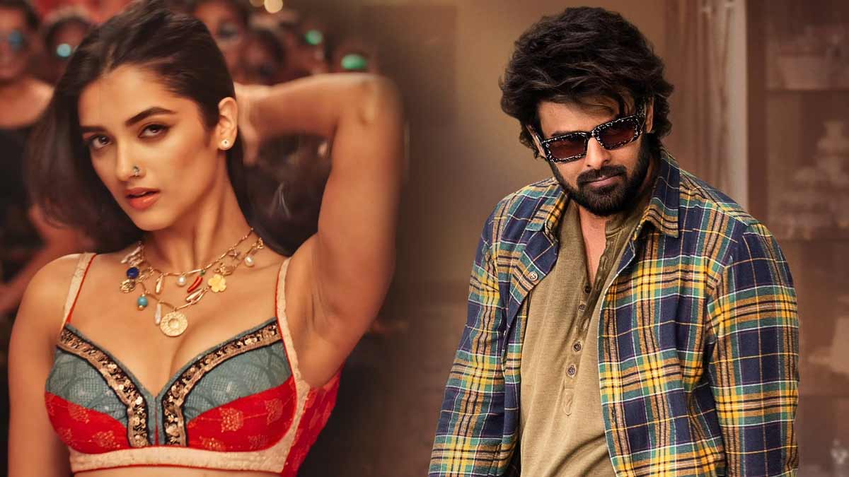 Bhagyashri Borse to act with Prabhas!